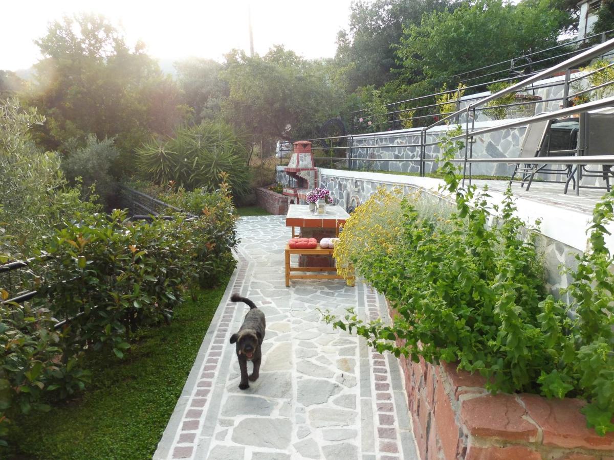 Helianthos Villa - Apartment No3 Kavála ภายนอก รูปภาพ